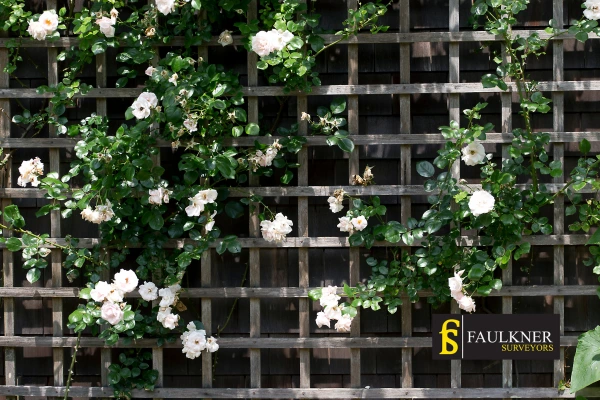 Can I put trellis on my Neighbours garage wall? 2 Do you want to adapt your neighbours garage door and add a trellis Lewes? Talk to Faulkner Surveyor Lewes